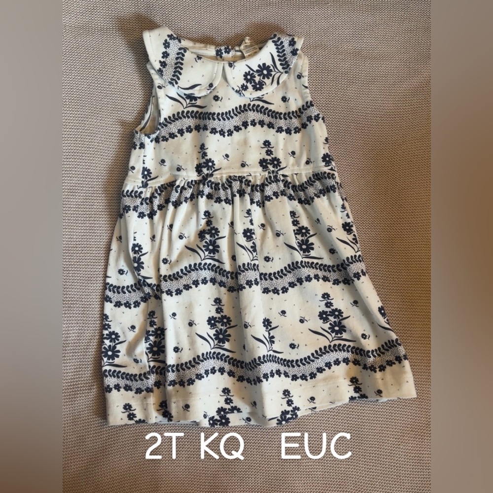 Kate Quinn Floral Peter Pan Dress
